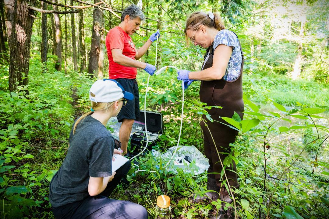 1 collecting eDNA samples.jpeg