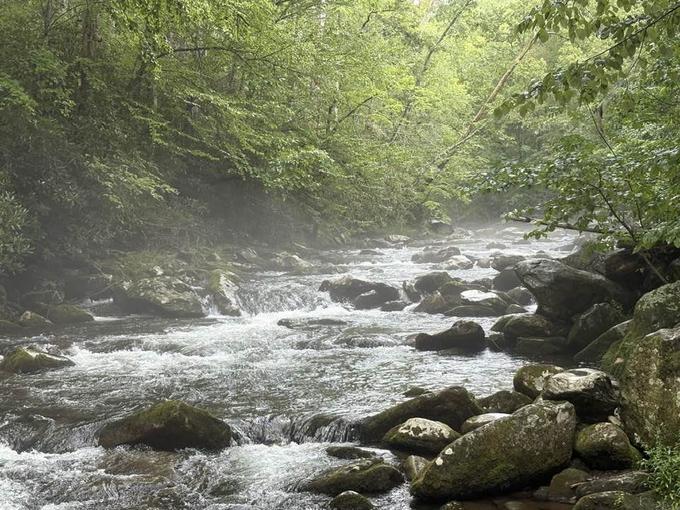 526735110 24723415860577734 2142663358964345124 n