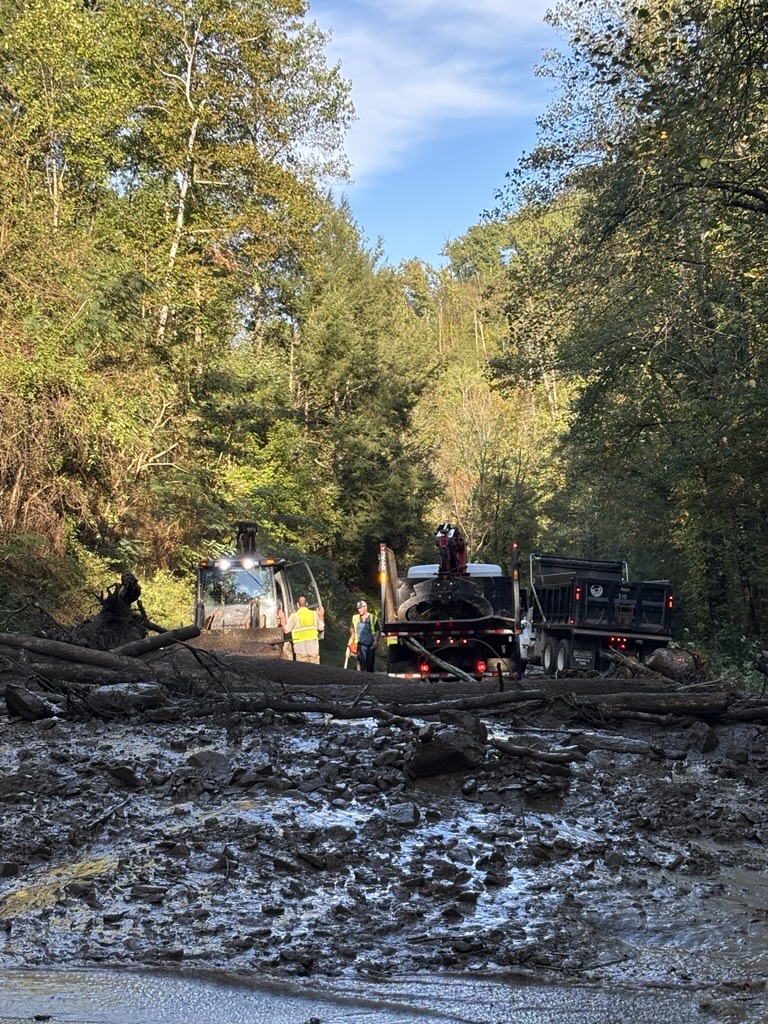 GatlinburgBypassClearing1