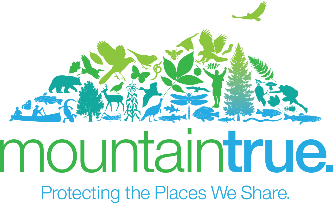 MountainTrue logo