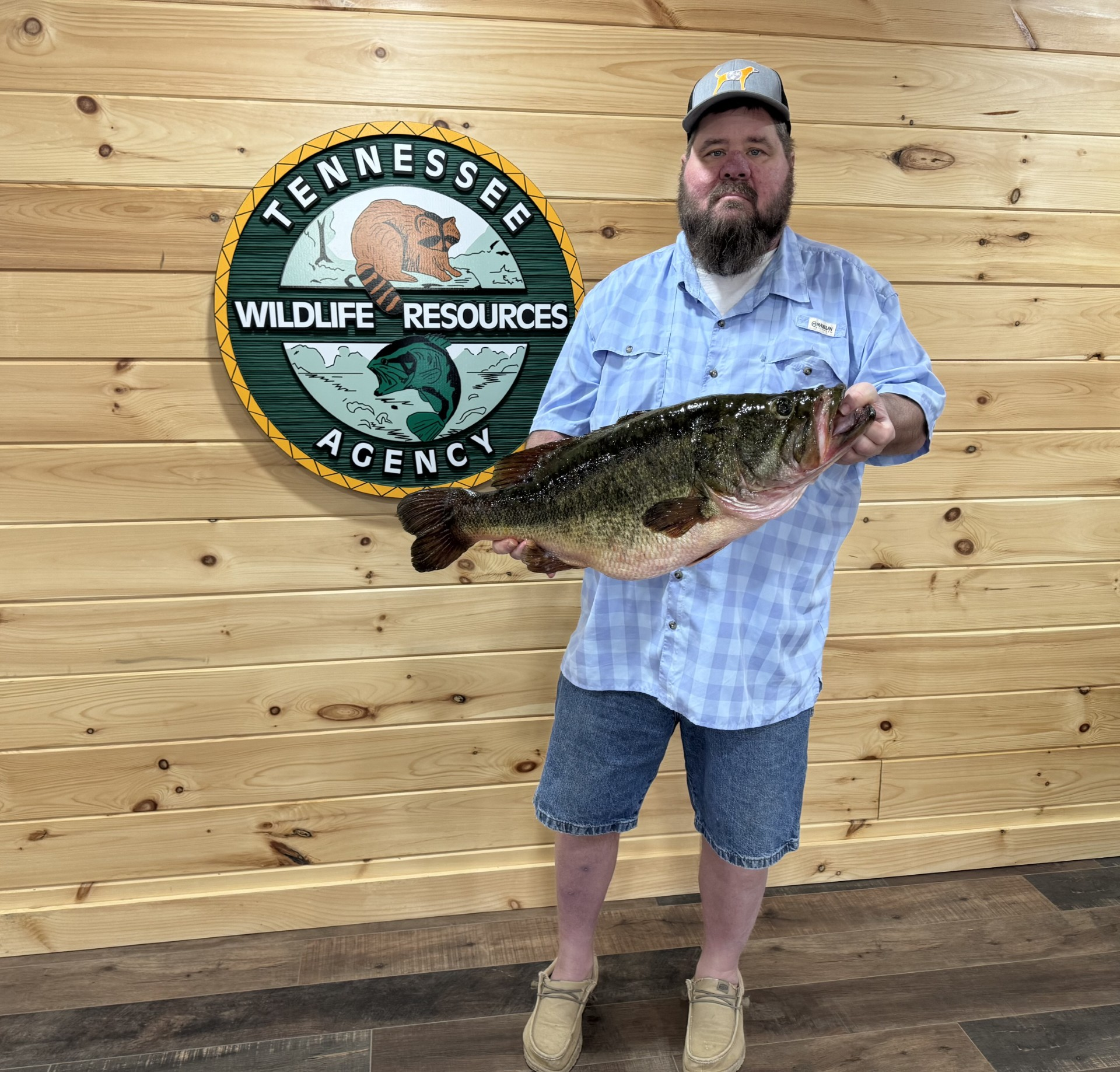 New Tenn.State record Largemouth Bass