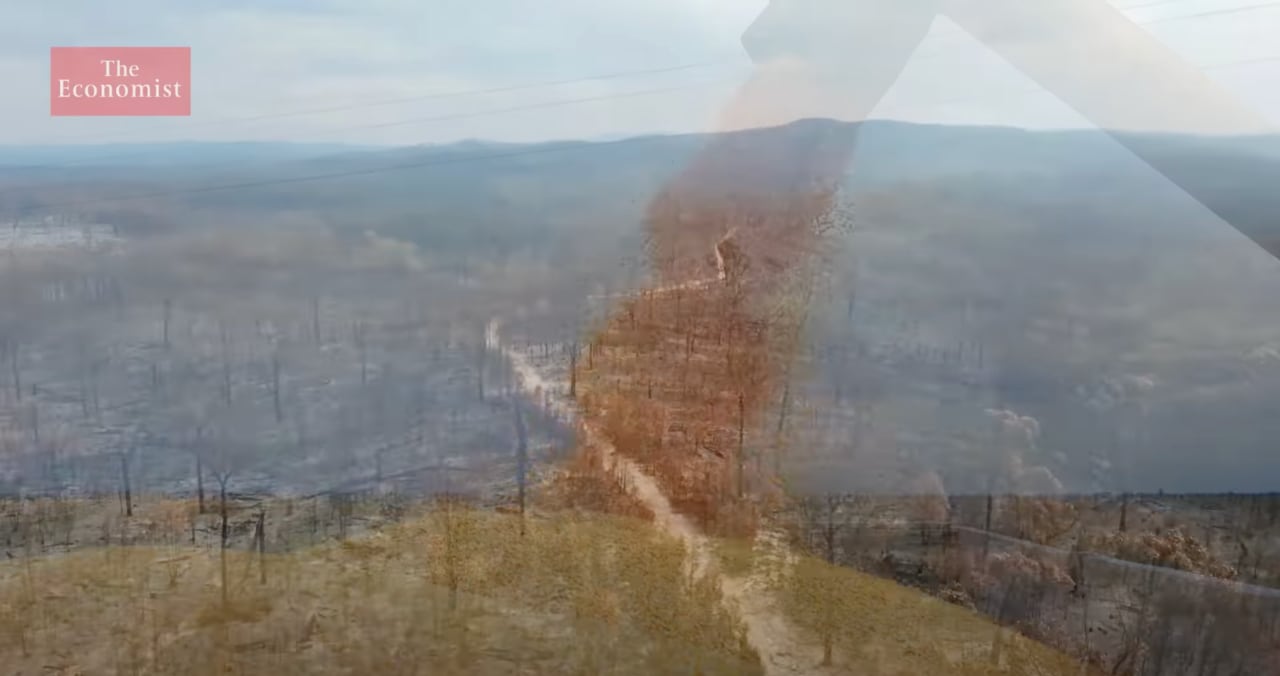 The Economist The global food crisis explained