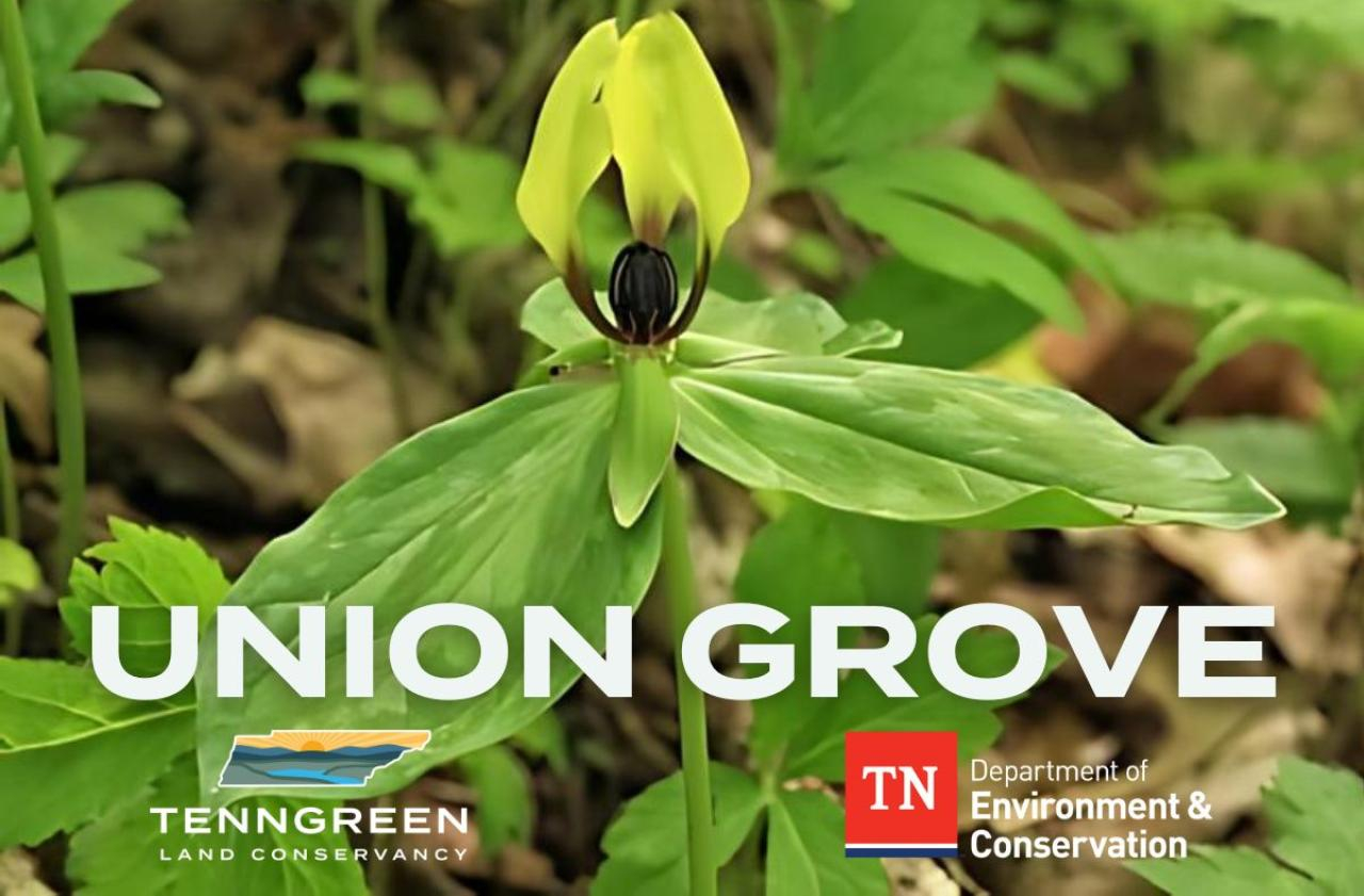 Union Grove Cover TennGreen