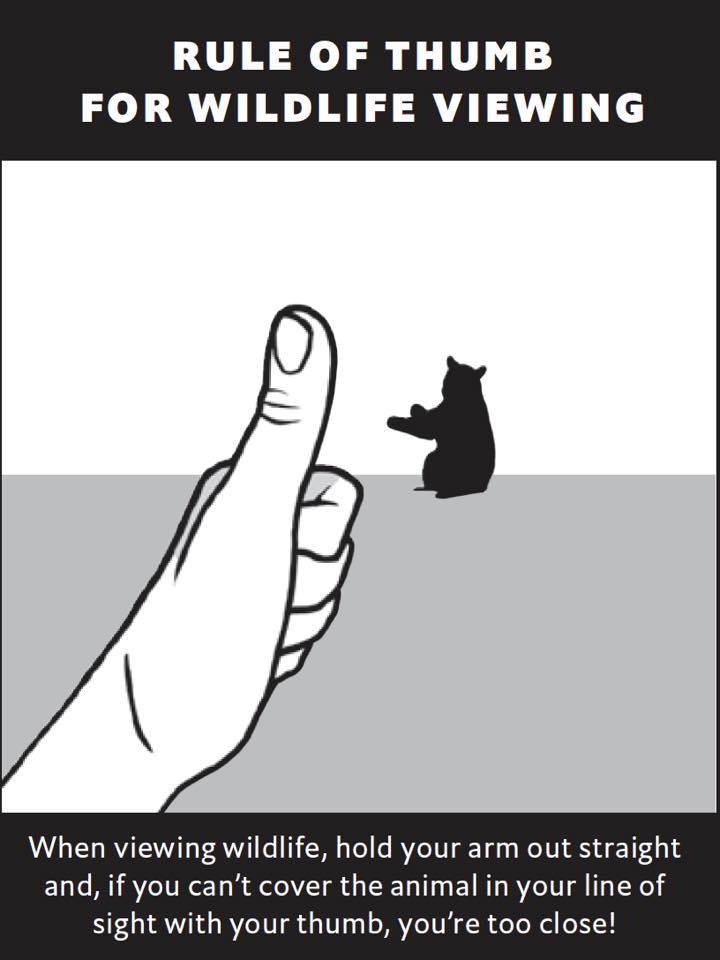 188263080 4096264910430808 8459931876935707871 n