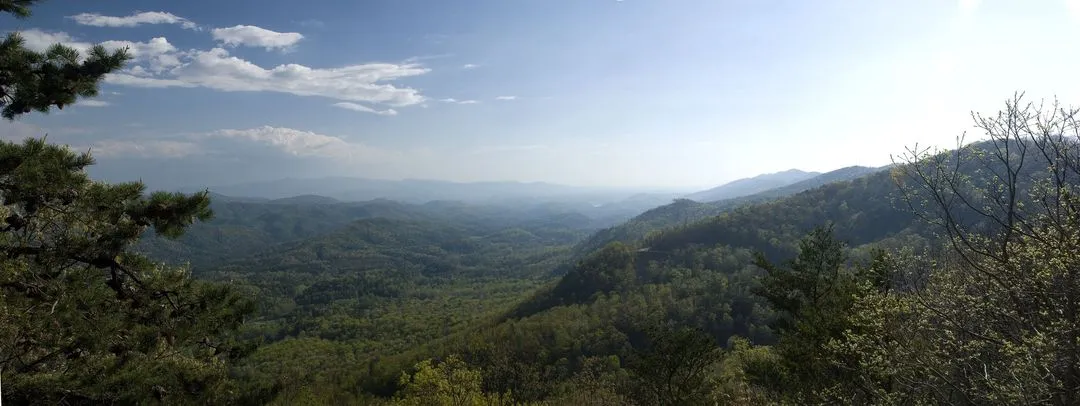 456915 10150749976200572 259742799 o