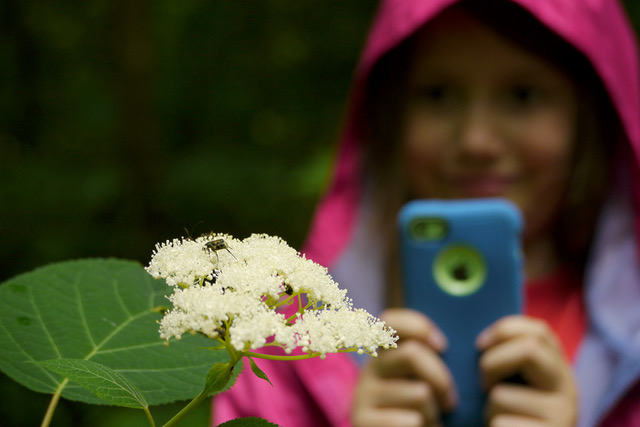 Photo by Valerie Polk