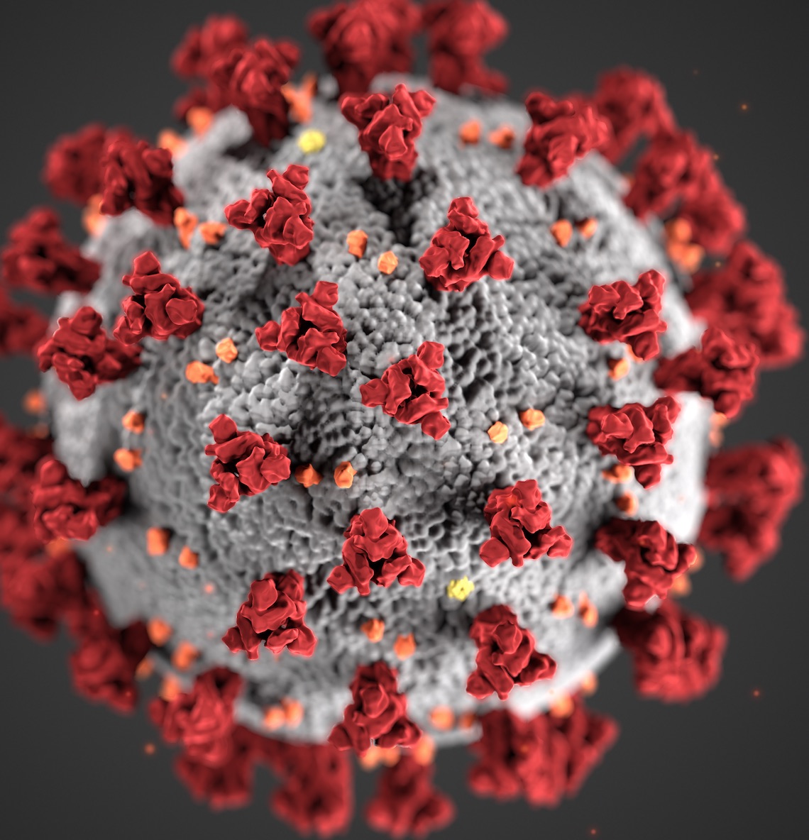 covid virus image