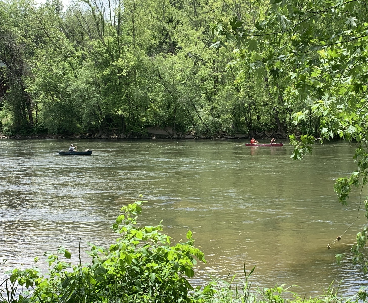 french broad river jason sandford